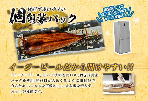 ＜ご家庭用＞うなぎ 鰻楽 国産 蒲焼 2尾 計240g以上（120g×2尾）おすすめ 冷凍 簡単調理 個包装 鰻 魚介【B666】