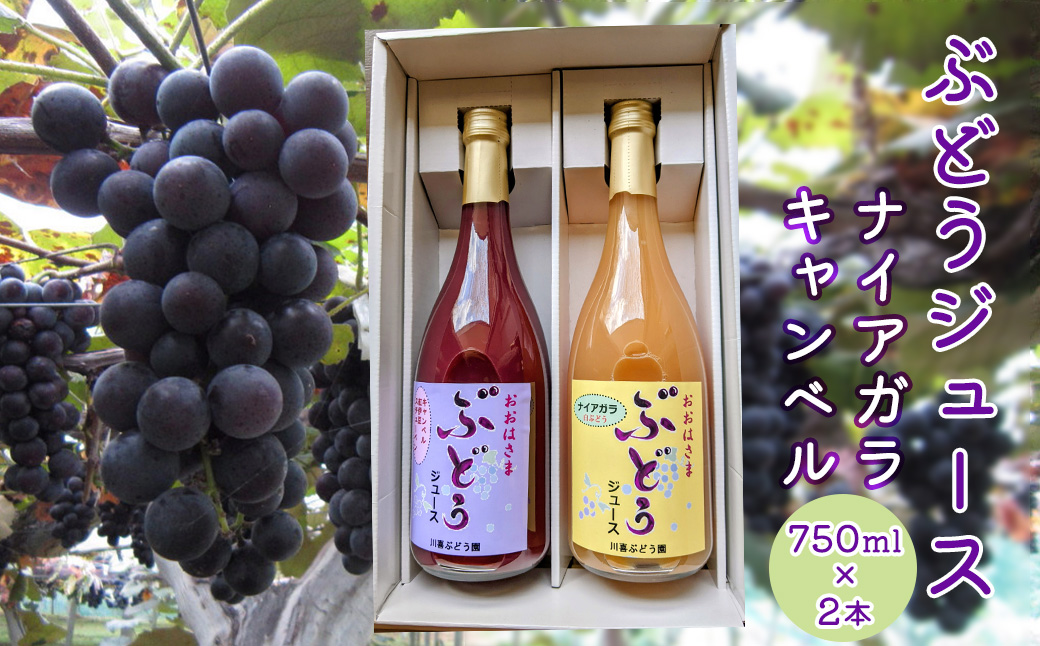ぶどうジュース （キャンベル・ナイアガラ） 750ml×2本 【2488】