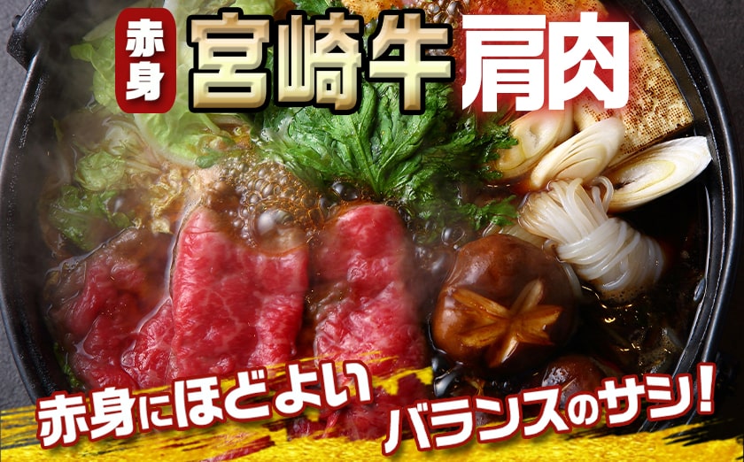 宮崎牛肩スライス500g_13-8905