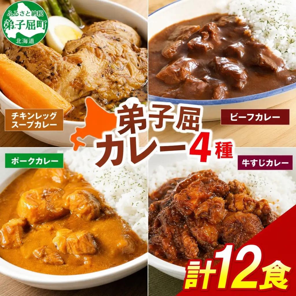 カレー 4種 食べ比べ 計12個 中辛 スープカレー ビーフカレー ポークカレー 牛すじカレー じゃがいも 牛 牛肉 豚肉 肉 鳥 鶏 業務用 レトルトカレー 保存食 備蓄 まとめ買い 送料無料 北海道 弟子屈町 3757