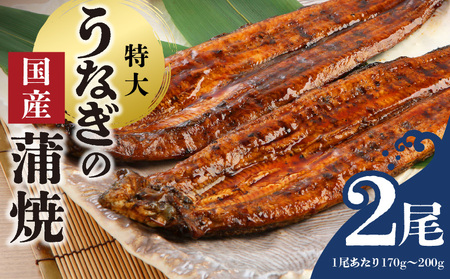 うなぎの蒲焼 2尾セット（特大サイズ 一尾 170g～200g）_うなぎ 蒲焼 2尾 セット 特大サイズ 一尾170g～200g たれ付き 鰻専門問屋 樋口商店 鹿児島 宮崎 国産 ジャポニカ種 真空パック ギフト お取り寄せ グルメ うな丼 うな重 ひつまぶし お土産 手土産 贈り物 プレゼント お中元 職人 送料無料 〔Cu001〕