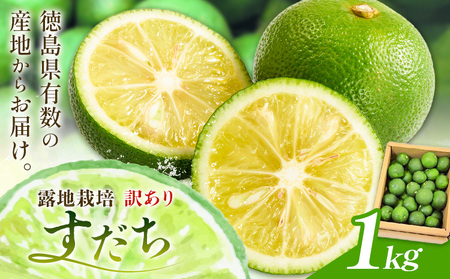 すだち 訳あり約1kg 一般財団法人さなごうち《9月中旬-11月上旬頃出荷》すだちすだちすだちすだち