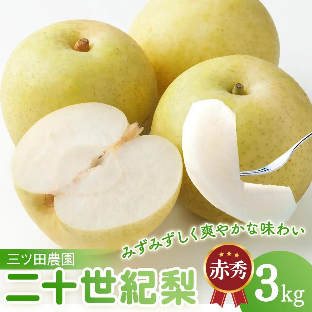 二十世紀梨 三ツ田農園 二十世紀梨 (赤秀)3kg 8月下旬以降お届け