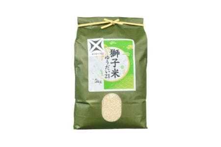 【令和7年産】獅子米 ゆうだい21 精米 5kg 岡田ファーム あなたが選ぶ日本一おいしい米コンテスト 最優秀金賞 受賞 お米 白米 米 おこめ ブランド米 ゆうだい ユウダイ21 5キロ 国産 単一