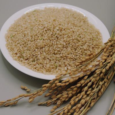 ふるさと納税 富良野市 【玄米】令和7年産米　富良野産　栽培期間中出来るだけ農薬を減らして作った　ゆめぴりか　10kg