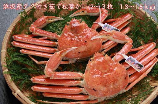 
            浜坂産タグ付き茹で松葉かに(2～3枚　1.3～1.5kg)
          