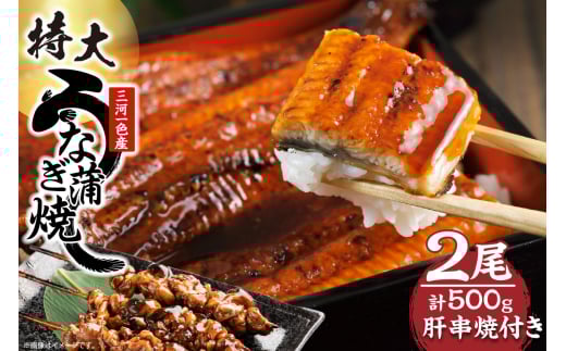 【土用の丑の日対応　一の丑7/6（日）入金まで二の丑7/21（月）入金まで】三河一色産　最高級うなぎセット 特大2尾（蒲焼2尾）計500g（冷蔵配送）（2331）