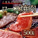 【ふるさと納税】GI認証 くまもとあか牛 ロース焼肉 500g お取り寄せ 冷凍 お土産 ギフト 贈答用 おつまみ 阿蘇牧場 熊本県 阿蘇市