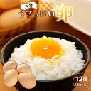 【ふるさと納税】大分うこっけい卵　生食用12個（6個×2パック）＜お試しサイズ／使い切りにぴったり！＞ | お試し 烏骨鶏 卵 たまご 玉子 生卵 高級 特産 名産品 ご当地 ご当地グルメ お取り寄せ お取り寄せグルメ 大分県 湯布院 由布院 ゆふいん セット