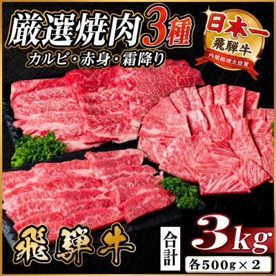 飛騨牛　厳選焼肉3種(カルビ・赤身・霜降り)　計3kg(各1kg)【配送不可地域：離島】