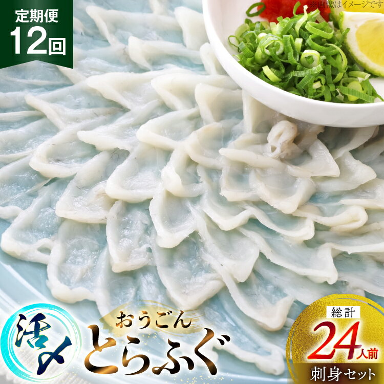 【ふるさと納税】ふぐ 刺身 セット 活〆 おうごんとらふぐ 刺身セット 2人前 12回 定期便 [松永水産 長崎県 平戸市 hr42bgy400015] ふぐ刺し とらふぐ フグ 河豚 てっさ 魚介 さかな お刺身 刺身用 さしみ 冷凍 湯引き 海鮮 切り身
