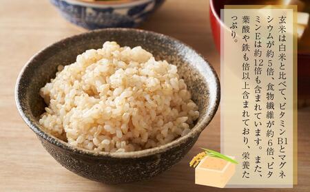 【令和7年産】富山県産こしひかり　育（はぐくみ）玄米３０kg《南砺の逸品》