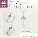 【ふるさと納税】 ペンダント ネックレス ジュエリー レディース アクセサリー 天然 ダイヤモンド 計 0.08ct 選べる地金 PT900 PT850 プラチナ K18 イエローゴールド ピンクゴールド 鍵モチーフ 縦長ライン アンティーク ジュエリーケース付 鑑別書付 保証書付 k257-094