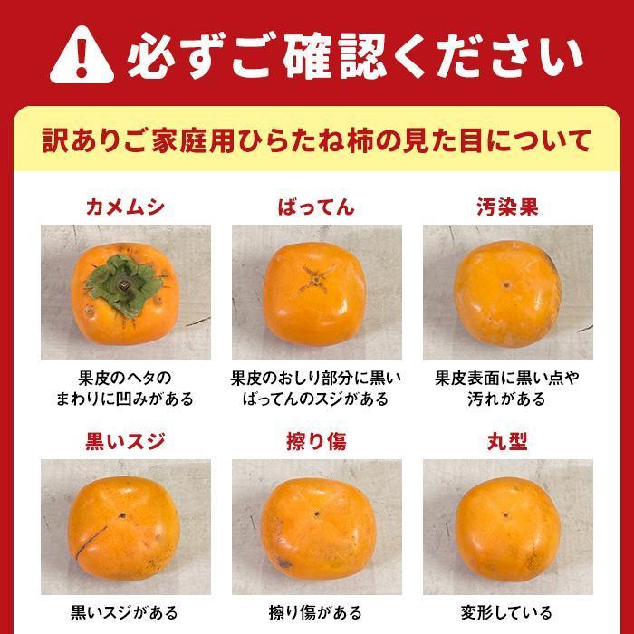 ［2026年10月上旬以降発送］◆先行予約◆ 和歌山県産 平核無柿＜ご家庭用＞約7.5kg 満杯詰め  柿 種無し たねなし ひらたね 訳あり ［MG87］ AB96156_イメージ3