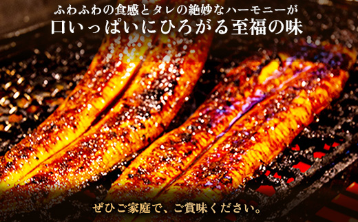 鰻の名店『うな雅』国産 手焼き 鰻【特上】かば焼き 3尾 540g〜580g【めぐみ食品】【配送不可地域：離島】【1600557】