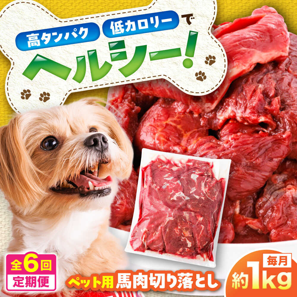 【ふるさと納税】【全6回定期便】国内加工 ペット用 馬肉 切り落とし 約1kg / ペットフード ドッグフード 愛犬 馬肉 生食 加熱 ペット用 【五右衛門フーズ】[BHCY055]