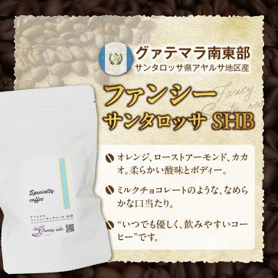ふるさと納税 小牧市 スペシャルティ珈琲 グァテマラ ファンシー サンタロッサSHB 豆200g[137S20-01] |  | 02