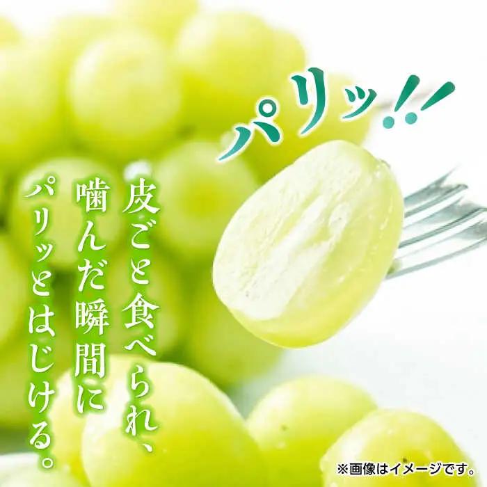 【先行予約】シャインマスカット 約1.2kg（2から3房） ぶどう 種なし  熊本 くまもと 九州 皮ごと  【合同会社 福福堂】[ZCN006]