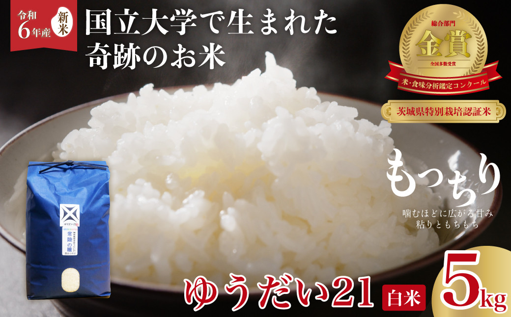 
            【令和６年産 新米】食味コンクール最高賞 品評会を席巻した奇跡のお米 ゆうだい21 白米５kg | ゆうだい21 常陸の瞳  ブランド米 宇都宮大学 GAP認証 森 ミネラル 水 最高賞 品評会 安全 安心 美味しい 米 粘り もちもち 食感 希少品種 冷めても おいしい 茨城県 常陸太田市 
          