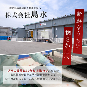 【先行予約】【皮なし】鰤の切り身(約1.0kg)【株式会社島水】shimasui-1506b
