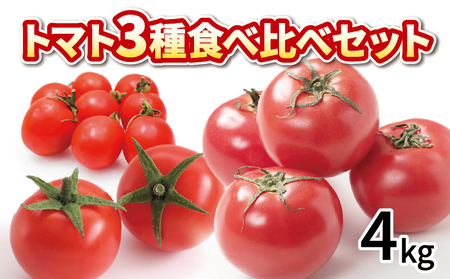 トマト ミニトマト 4kg 3種 食べ比べ セット トマト トマト トマト トマト