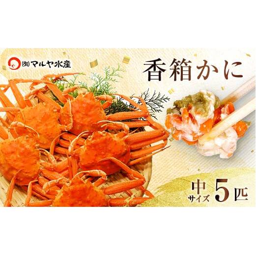 石川県産 香箱蟹 せいこ 中サイズ 5匹 詰合せ 11月10日～12月15日発送 F6P-2770