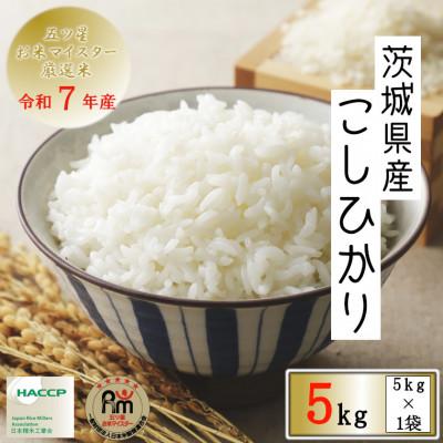 ふるさと納税 牛久市 令和7年産　茨城県産コシヒカリ　精米　5kg(5kg×1袋)