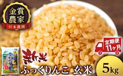 【新米予約】【定期便11回】ふっくりんこ玄米5kg≪杉本農園≫