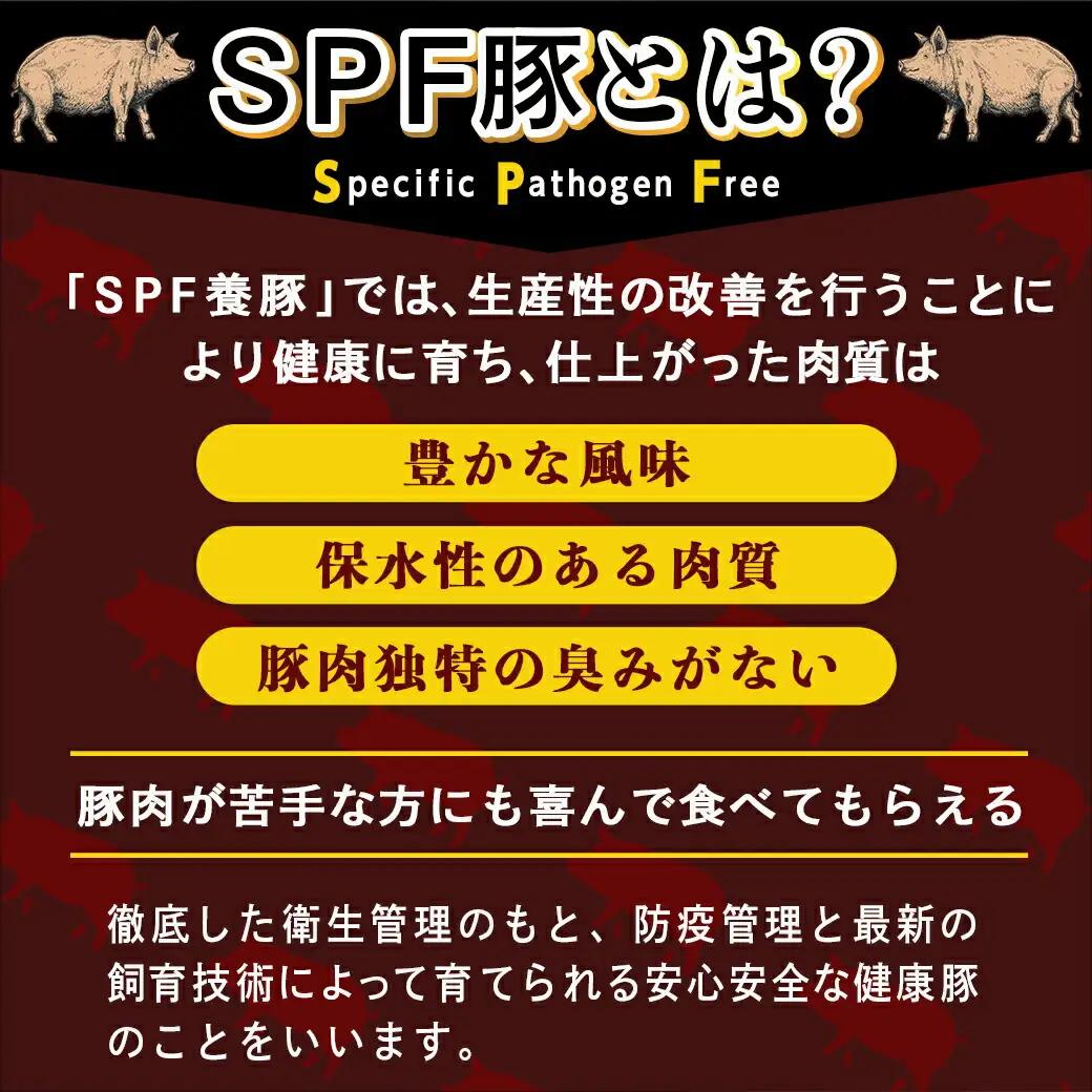 ≪3回連続お届け≫「宮崎SPF豚」日替わりバラエティセット定期便〔T48-3-K901〕_(都城市) 宮崎県産豚 小間切れ ロース 肩ローススライス バラ ステーキ 焼肉 しゃぶしゃぶ 真空