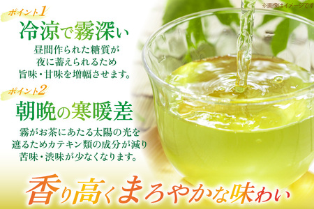 そのぎ茶 定期便 毎月 アルミボトル 290ml 24本 9回 総計216本