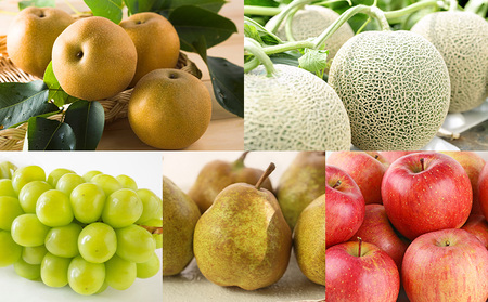 【定期便10回】好きですやまがたまるごと！果実のおもてなし 10選【令和8年産先行予約】FS25-101