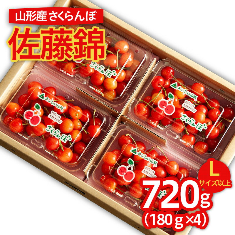 【ふるさと納税】山形のさくらんぼ 佐藤錦 Lサイズ以上 720g (180g×4パック) 【令和8年産先行予約】FS25-516 くだもの 果物 フルーツ 山形 山形県 山形市 お取り寄せ 2026年産