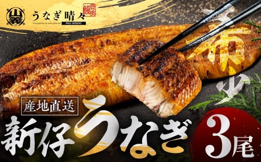 山義養魚の『うなぎ晴々』 3尾 希少  豊橋うなぎ 蒲焼 厳選 国産 新仔うなぎ 若うなぎ 鰻 簡易包装 ウナギ うなぎ 鰻 蒲焼 ギフト ひつまぶし 土用丑の日 ギフト 冷凍  丑の日 簡単調理 豊橋うなぎ お取り寄せ 送料無料 年末年始 年末 年越し 正月 ごちそう