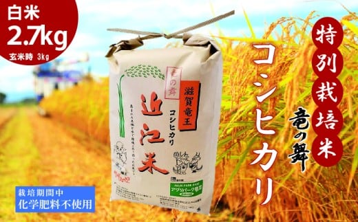 こしひかり 白米 2.7kg 2025年産 竜の舞 化学肥料不使用 特別栽培米 玄米 時 容量 3kg 国産 安心 安全 近江米 米 お米 白米 お弁当 玄米 産地直送 滋賀県 竜王町 送料無料