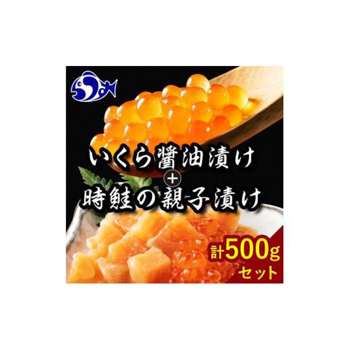 【2024年12月発送】知床羅臼産 時鮭（ときしらず）の親子漬け・醤油いくらセット（計500g）イクラ しょうゆ漬け 秋サケ さけ 海鮮 魚介 北海道 詰め合わせ 生産者 支援 応援