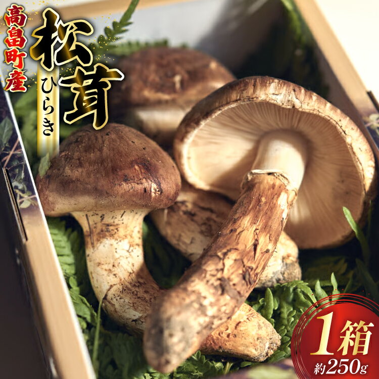 【ふるさと納税】 【期間限定発送】 松茸 ひらき 詰め合わせ 1箱 約250g (2〜4本入) [フレッシュマートたねや 山形県 高畠町 tk06ays880000] きのこ キノコ まつたけ 国産 天然 山の幸 ご飯 土瓶蒸し 松茸ご飯