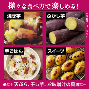 さつまいも サツマイモ 紅はるか 訳あり 2kg 末永商店 No.560-C
