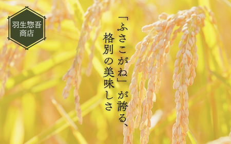《令和7年産新米・先行予約》創業百年・老舗米屋 羽生惣吾商店 千葉県産ふさこがね 精米 10kg 11月発送 【新米 ふさこがね 精米 令和7年産】（千葉県神崎町）[026-a007]