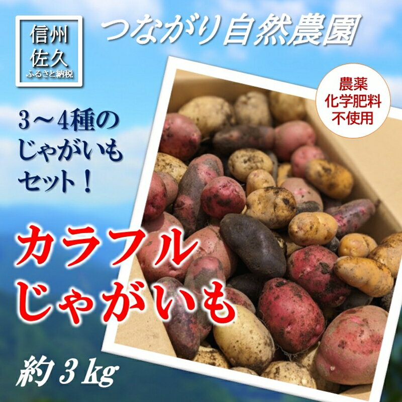 【ふるさと納税】長野県佐久市産カラフルじゃがいも約3kg（北海道・沖縄・離島は配送不可） 農薬・化学肥料　不使用　高原野菜　無農薬　産地直送　新鮮　旬彩　期間限定