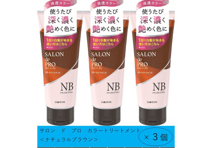 ダリヤ サロンドプロ カラートリートメント 3個セット【ナチュラルブラウン】 / 稲沢市 / 日興商事株式会社 [BMBK003-01]