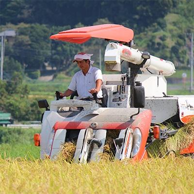 ふるさと納税 君津市 【2025年3月上旬発送】千葉・上総千年米コシヒカリ　10kg |  | 01