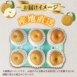 豊水 約2.5kg 梨 なし  梨 梨 梨 梨 梨