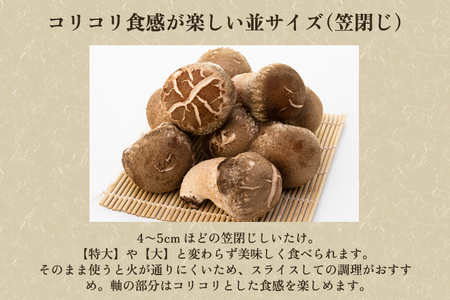 生しいたけ 並サイズ（笠閉じ） 約500g（12～18個）《 11月上旬から順次発送》 品評会で金賞受賞！ きのこ しいたけ 椎茸 特大 食べ応えある大きさ 肉厚で旨味たっぷり！ 加茂市 青木農園