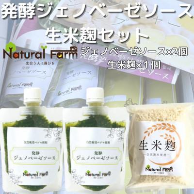 ふるさと納税 枕崎市 発酵ジェノベーゼソース&amp;生米麹　A3-9