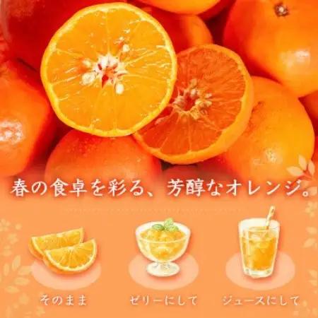 ジューシー柑橘　セミノールオレンジ　5kg【配送不可地域：離島】【1745644】