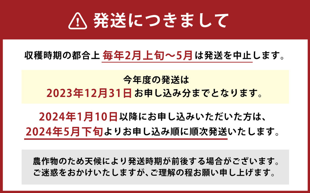 【竹田市産】高原トマト 4kg (約16～24個) 【ベジスタとまとちゃん】