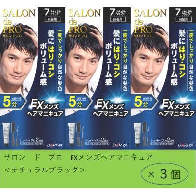 ふるさと納税 稲沢市 ダリヤ　サロン ド プロ 　EXメンズヘアマニキュア 《ナチュラルブラック》3個セット