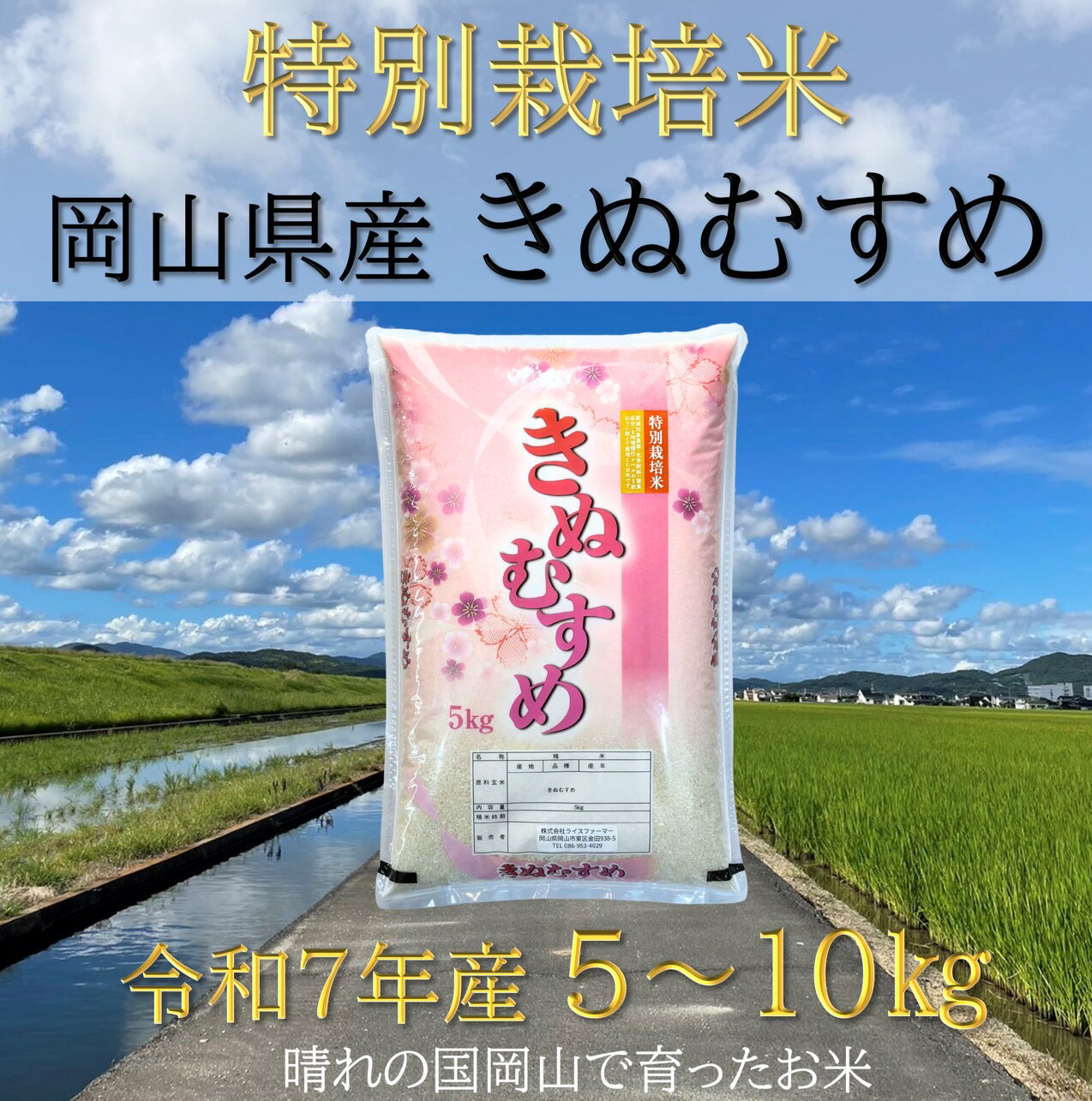 【ふるさと納税】【お米　特別栽培米　特Aランク】岡山県産「きぬむすめ」10kg（令和7年産）FF-47