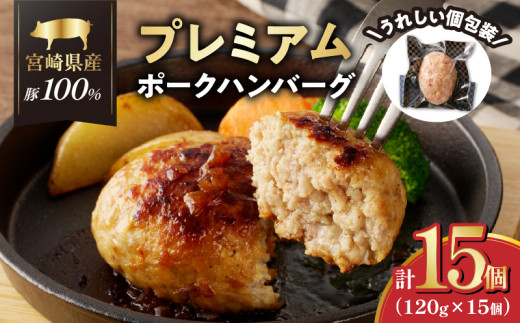 宮崎県産豚プレミアムハンバーグ(計15個) 肉 豚肉 加工品 惣菜 国産_T001-0111