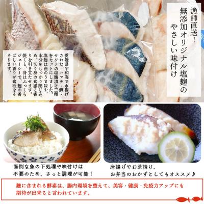ふるさと納税 西予市 <漁師直送　無添加　塩麹　三種セット(愛媛県西予市明浜産)>　ハマチ　鯛　サワラ　食べ比べ　詰合せ |  | 01